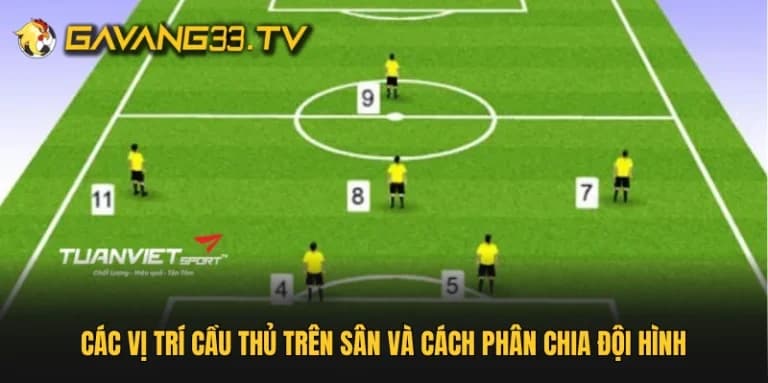 Các vị trí cầu thủ trên sân