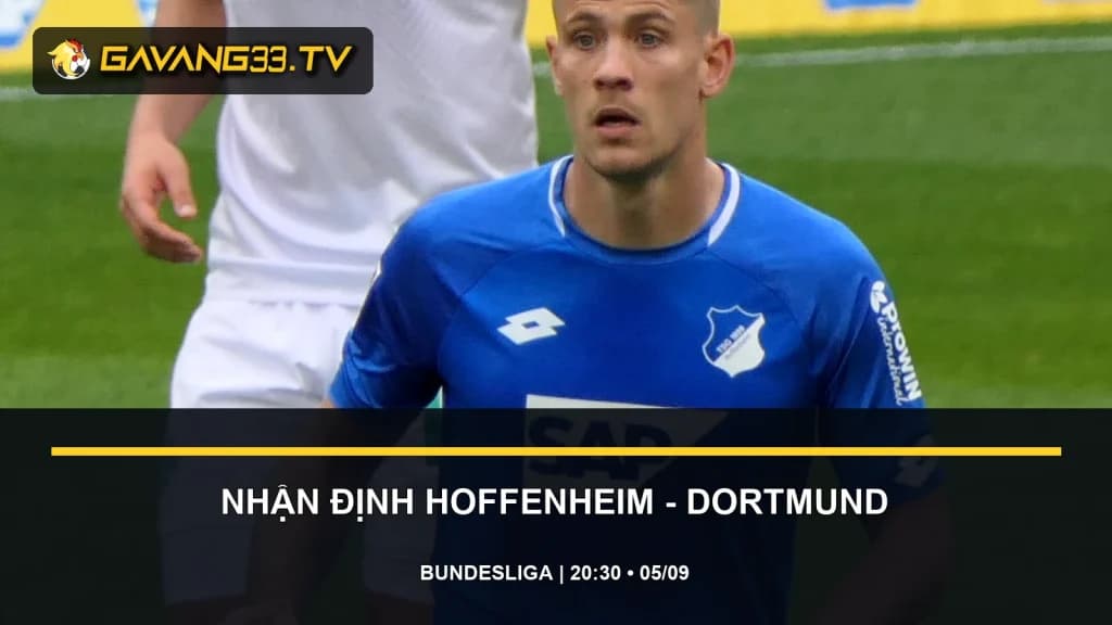 nhận định Hoffenheim vs Borussia Dortmund - ảnh đội bóng