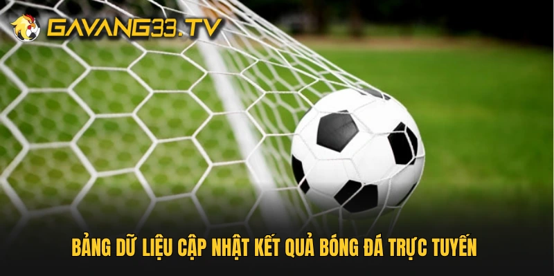 Bảng dữ liệu cập nhật kết quả bóng đá trực tuyến 