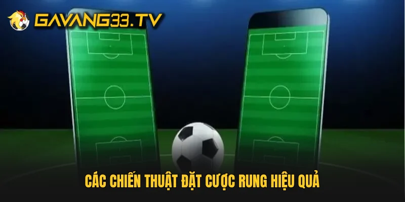 Các chiến thuật đặt cược rung hiệu quả
