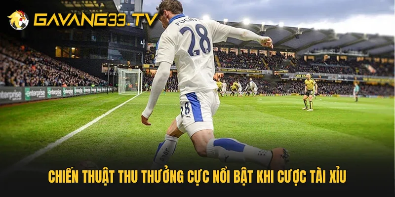 Chiến thuật thu thưởng cực nổi bật khi cược tài xỉu