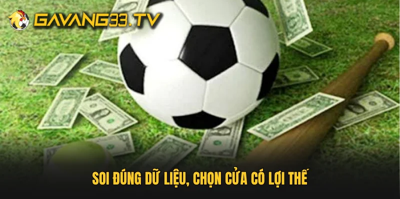 Soi đúng dữ liệu, chọn cửa có lợi thế