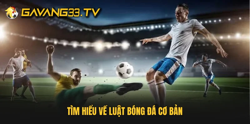 Tìm hiểu về luật bóng đá cơ bản 
