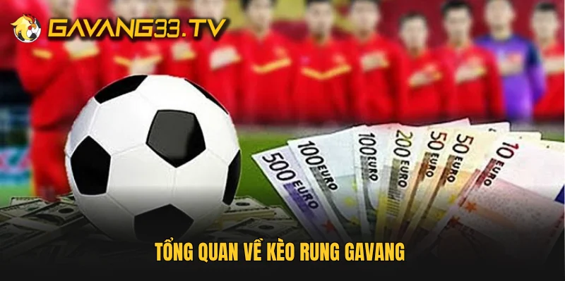 Tổng quan về kèo rung Gavang 