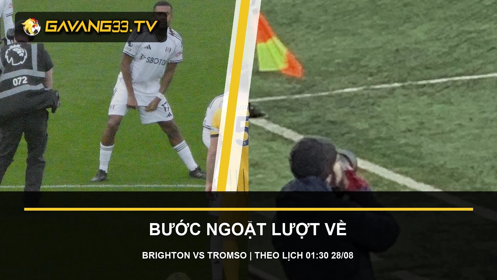 Tư liệu Brighton và Tromsø IL trước trận Conference League, có logo và tiêu đề bài nhận định