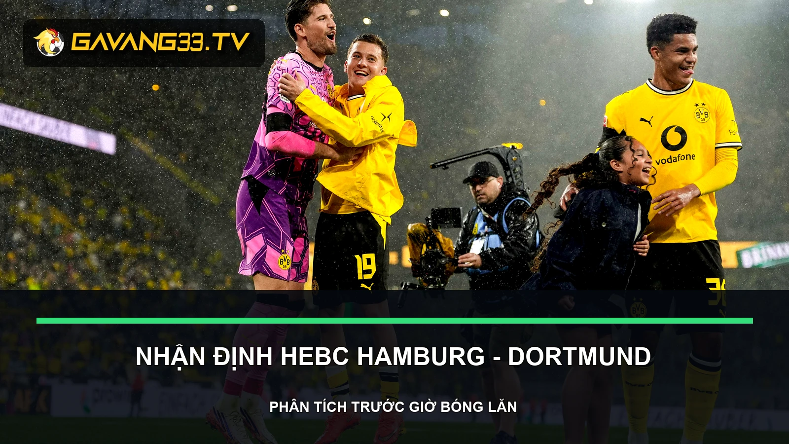 nhận định HEBC Hamburg vs Borussia Dortmund - ảnh tư liệu đội bóng