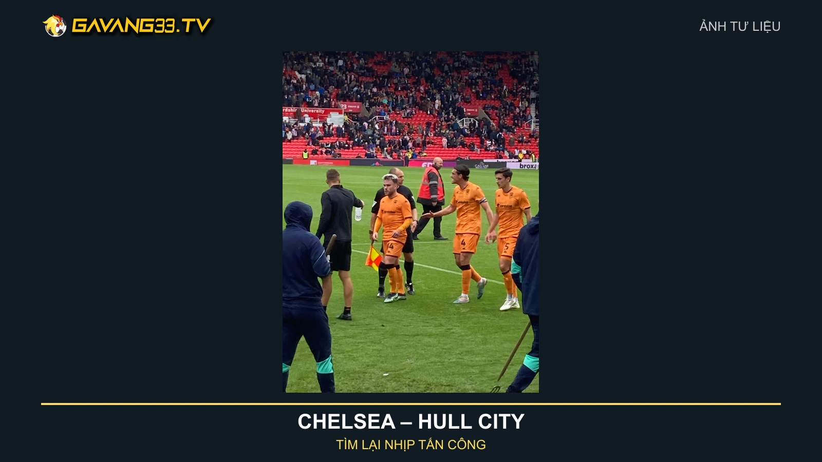 Ảnh tư liệu đội hình Hull City năm 2023