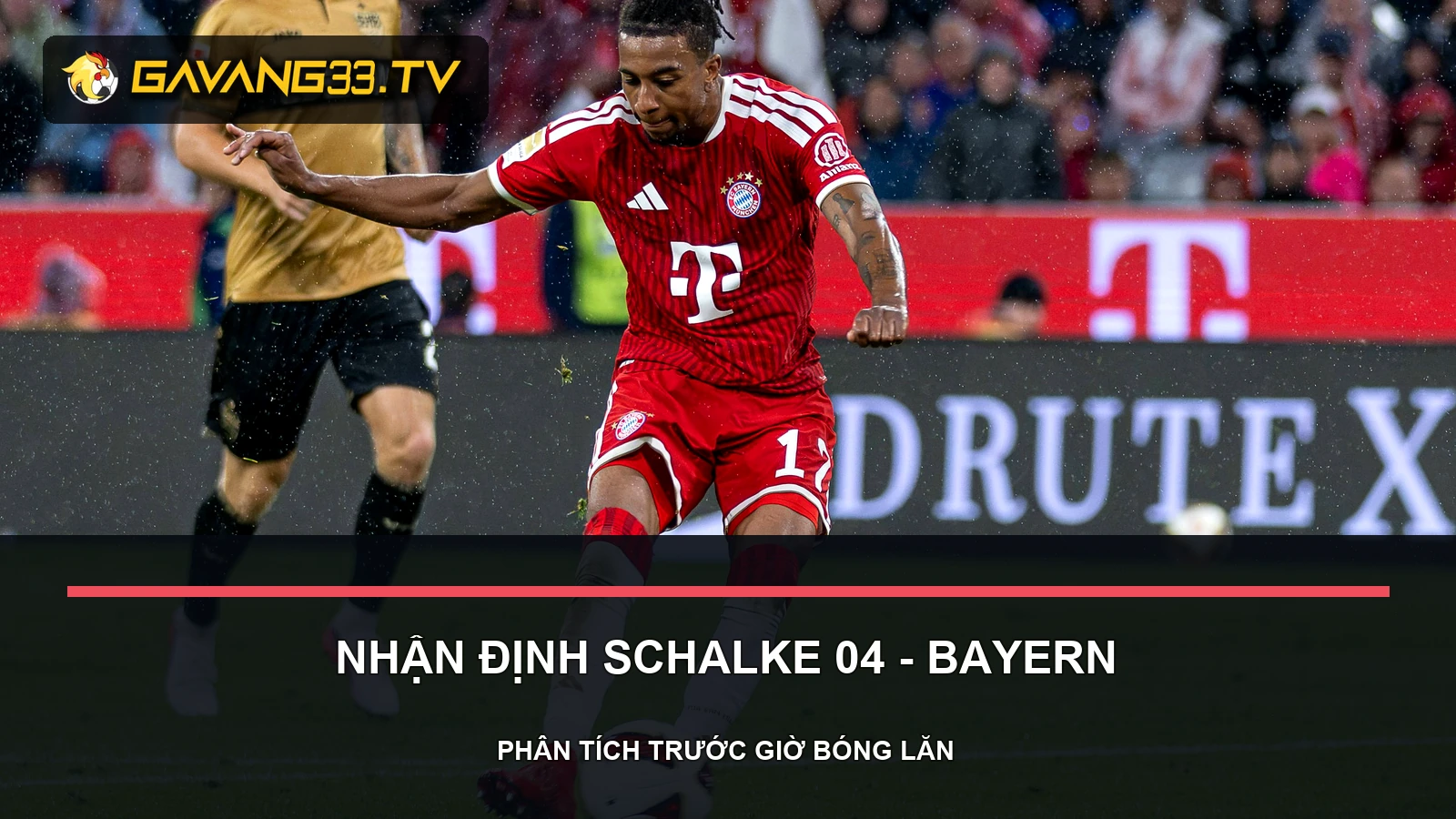 nhận định Schalke 04 vs Bayern Munich - ảnh tư liệu đội bóng